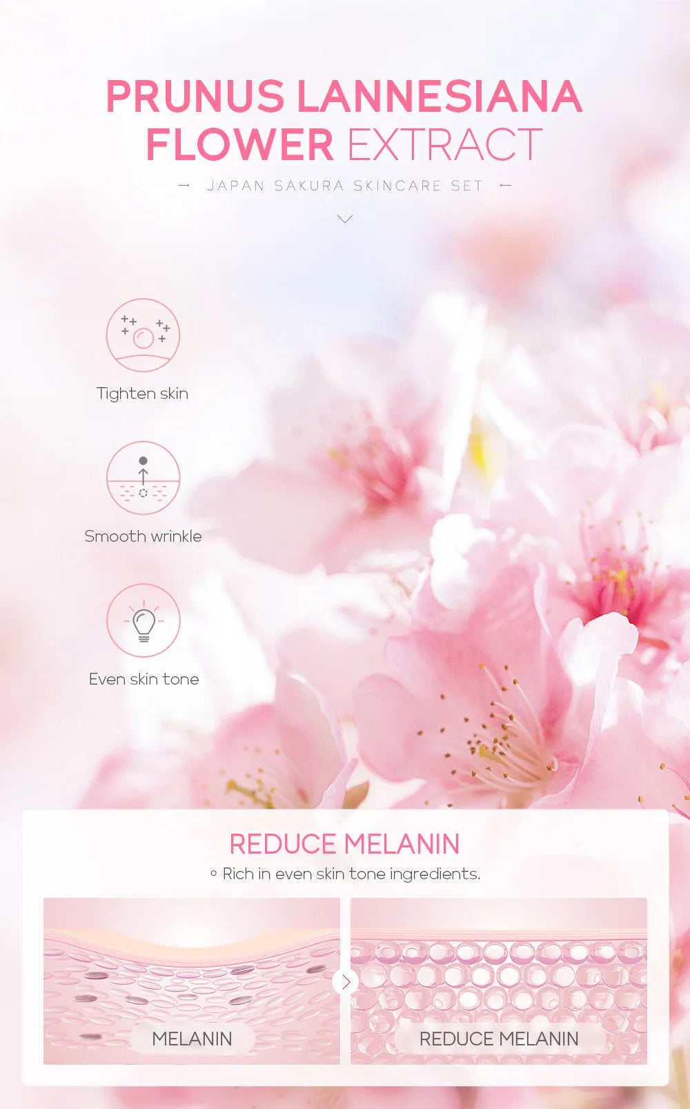 Laikou 6pcs/set Sakura Skin Care Set